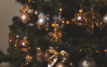 christmas-tree-5758765_640