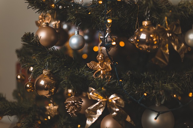 christmas-tree-5758765_640